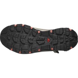 Взуття Salomon Techamphibian 5 W - коричневий/помаранчевий