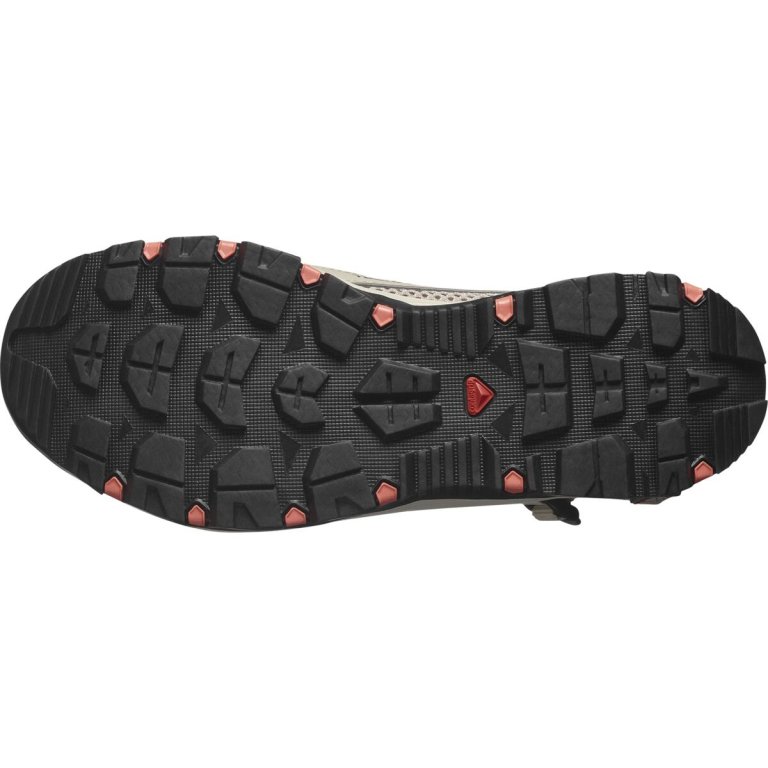 Взуття Salomon Techamphibian 5 W - коричневий/помаранчевий