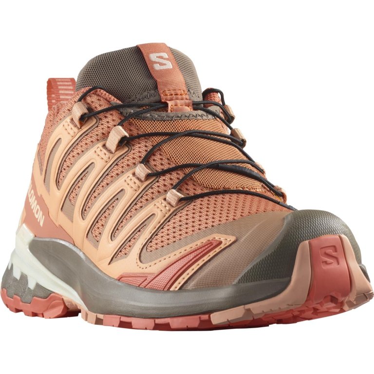 Взуття Salomon XA PRO 3D V9 W - помаранчевий