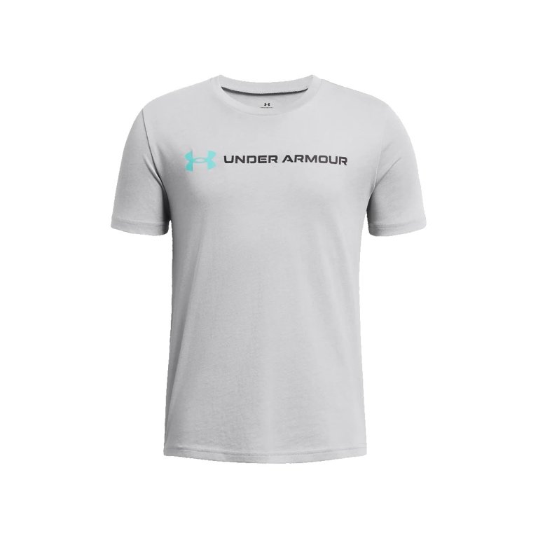 Футболка Under Armour UA Логотип Wordmark SS J - сіра