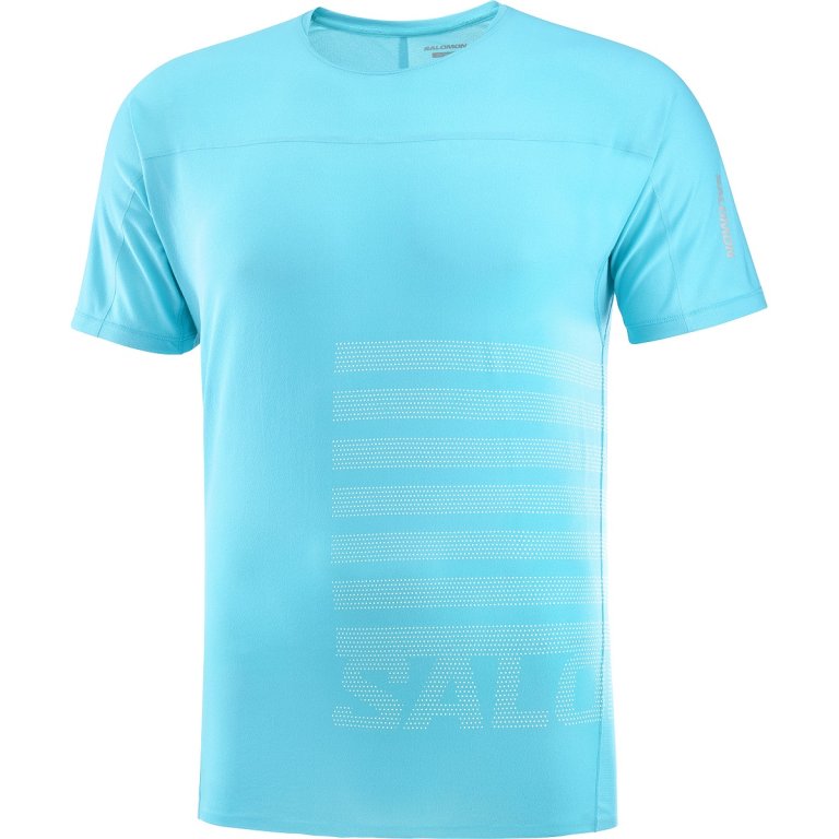 Футболка Salomon Sense Aero SS Tee GFX M - синій