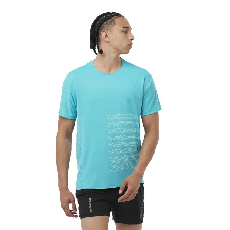 Футболка Salomon Sense Aero SS Tee GFX M - синій