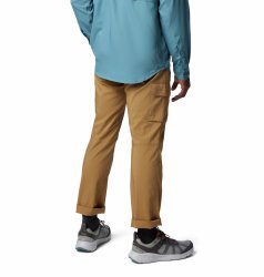 Штани Columbia Silver Ridge™ Utility Pant M - бежевий (стандартна довжина)