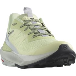 Взуття Salomon Elixir Activ GTX W - зелений / сірий