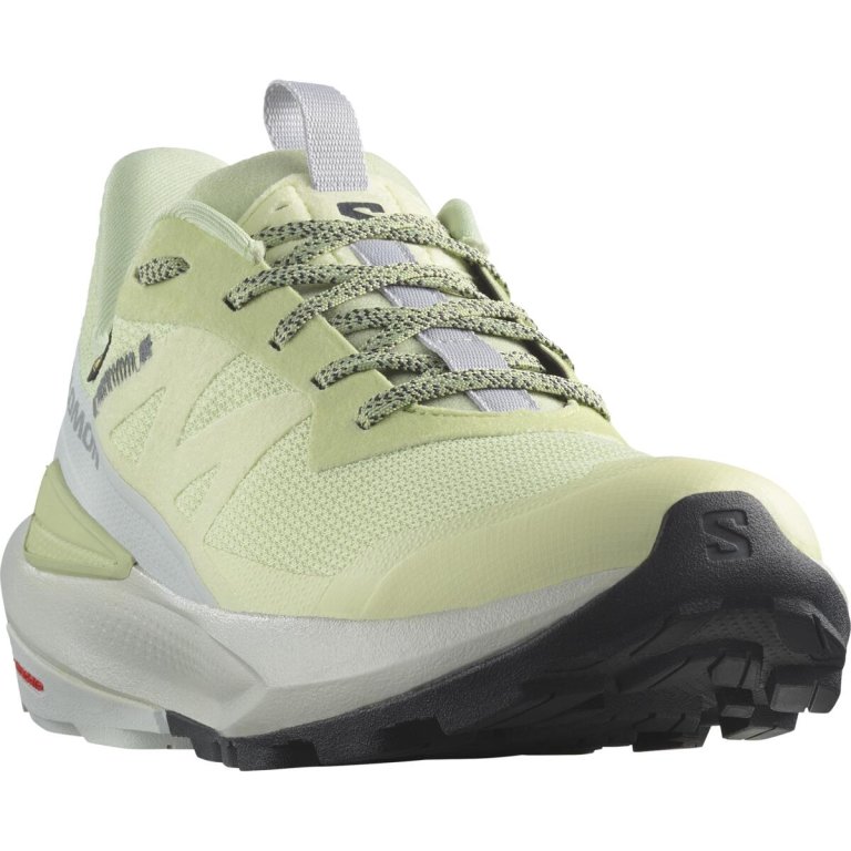 Взуття Salomon Elixir Activ GTX W - зелений / сірий