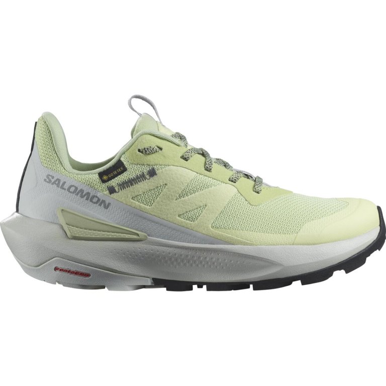 Взуття Salomon Elixir Activ GTX W - зелений / сірий