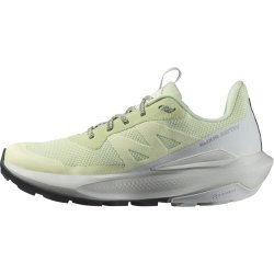 Взуття Salomon Elixir Activ GTX W - зелений / сірий