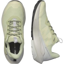 Взуття Salomon Elixir Activ GTX W - зелений / сірий