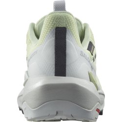 Взуття Salomon Elixir Activ GTX W - зелений / сірий