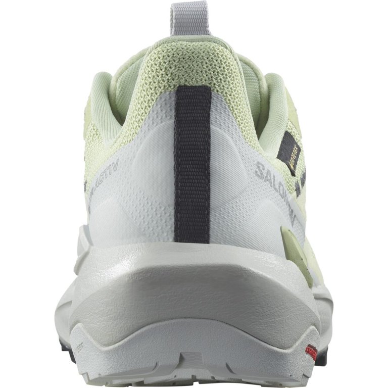 Взуття Salomon Elixir Activ GTX W - зелений / сірий