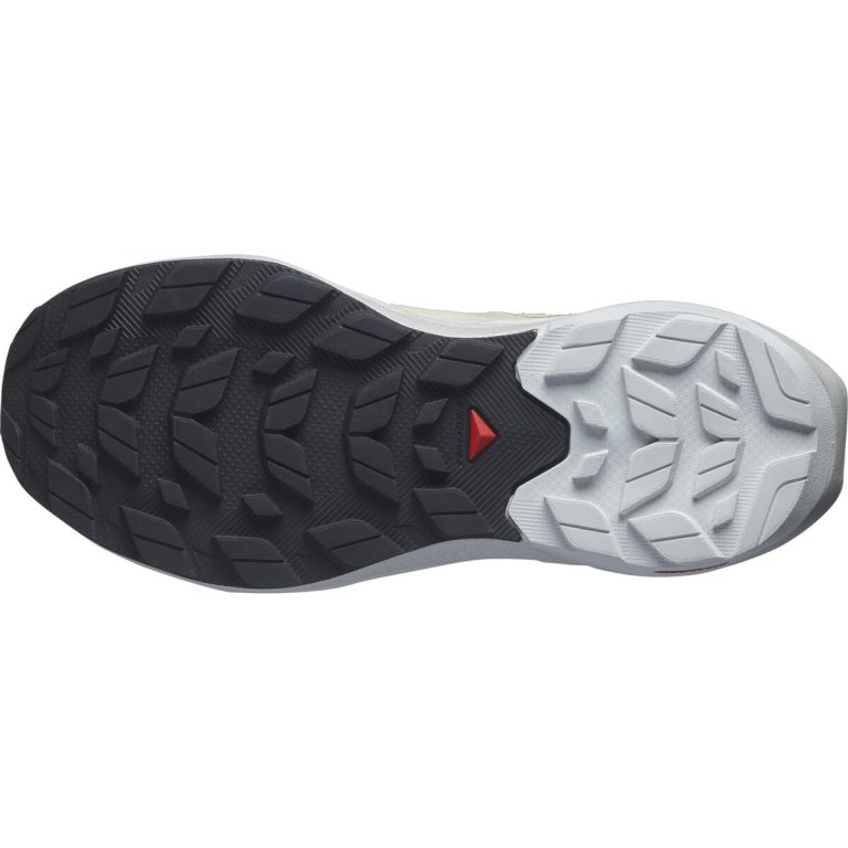 Взуття Salomon Elixir Activ GTX W - зелений / сірий