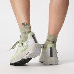 Взуття Salomon Elixir Activ GTX W - зелений / сірий