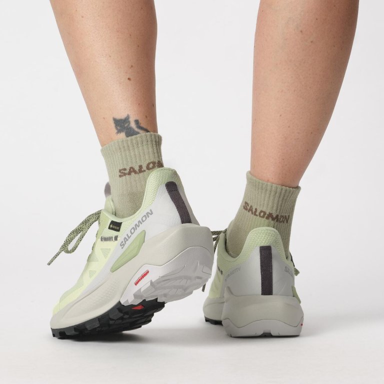 Взуття Salomon Elixir Activ GTX W - зелений / сірий