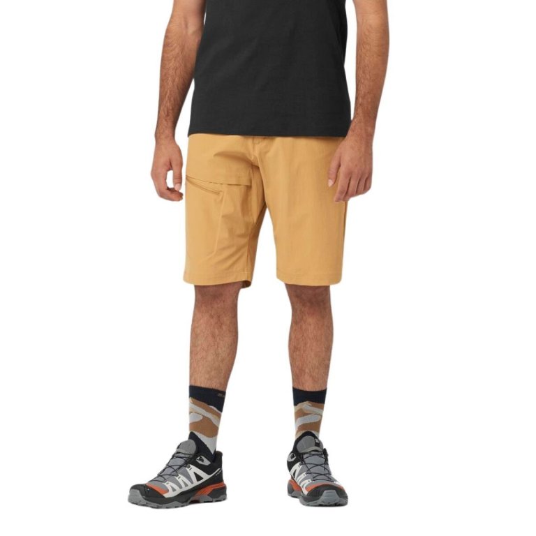 Шорти Salomon Wayfarer Шорти M - коричневий