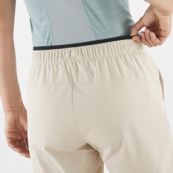 Шорти Salomon Wayfarer Ease Shorts W - коричневий