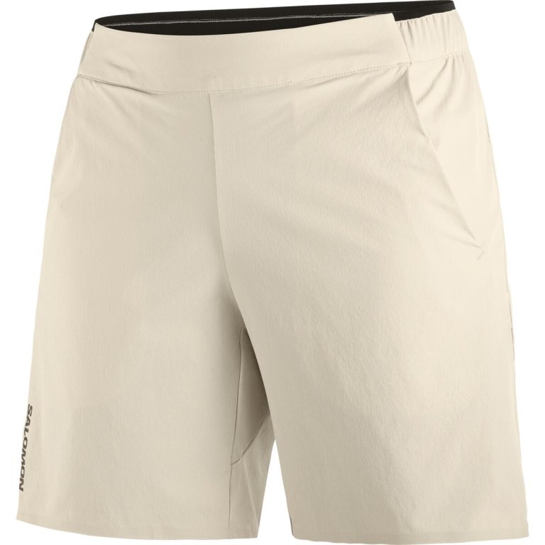 Шорти Salomon Wayfarer Ease Shorts W - коричневий