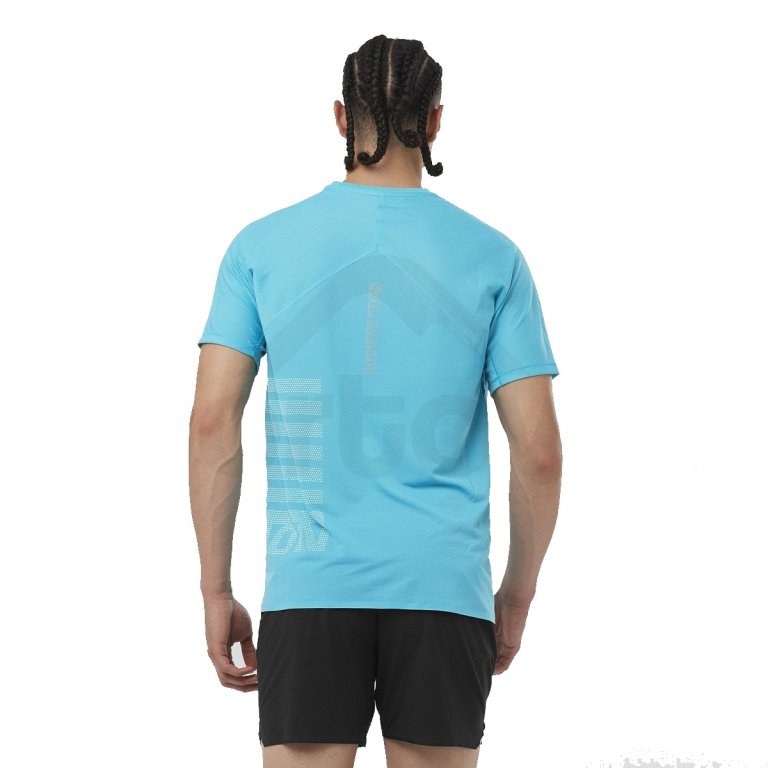 Футболка Salomon Sense Aero SS Tee GFX M - синій
