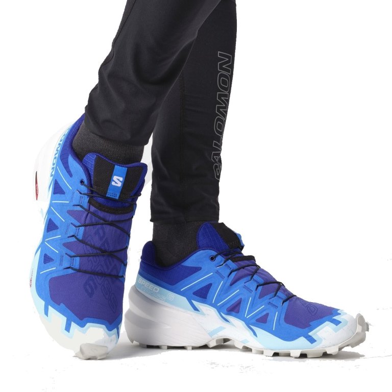 Кросівки Salomon Speedcross 6 M - сині