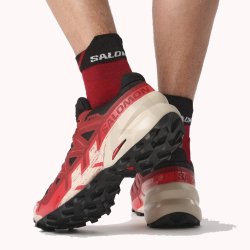 Кросівки Salomon Speedcross 6 GTX M - червоні/ чорні / сірі