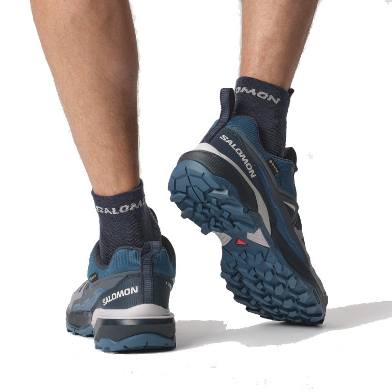Взуття Salomon X Ultra 360 GTX M - синє / чорне