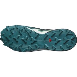 Кросівки Salomon Speedcross 6 M - сірі / блакитні