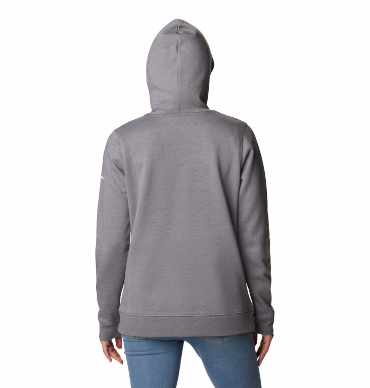 Худі Columbia Trek™ Graphic Hoodie W - сірий