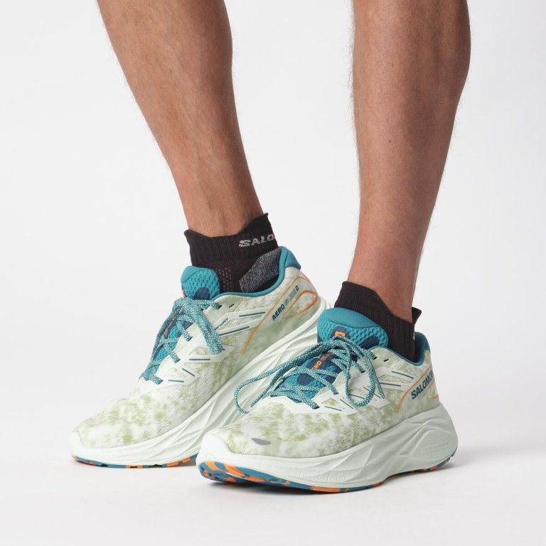 Кросівки Salomon Aero Glide 2 M - білий/синій/зелений