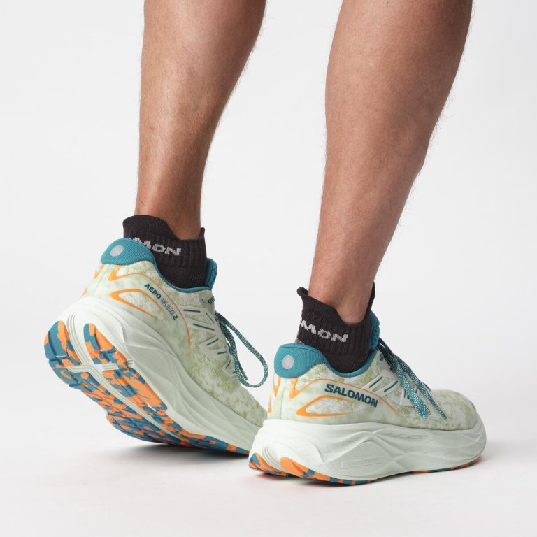 Кросівки Salomon Aero Glide 2 M - білий/синій/зелений