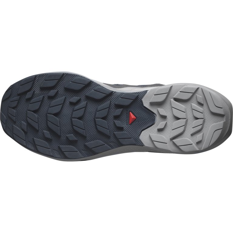 Взуття Salomon Elixir Activ GTX M - синій / сірий