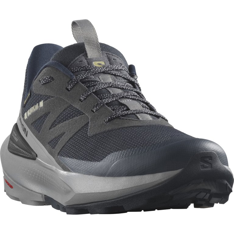 Взуття Salomon Elixir Activ GTX M - синій / сірий