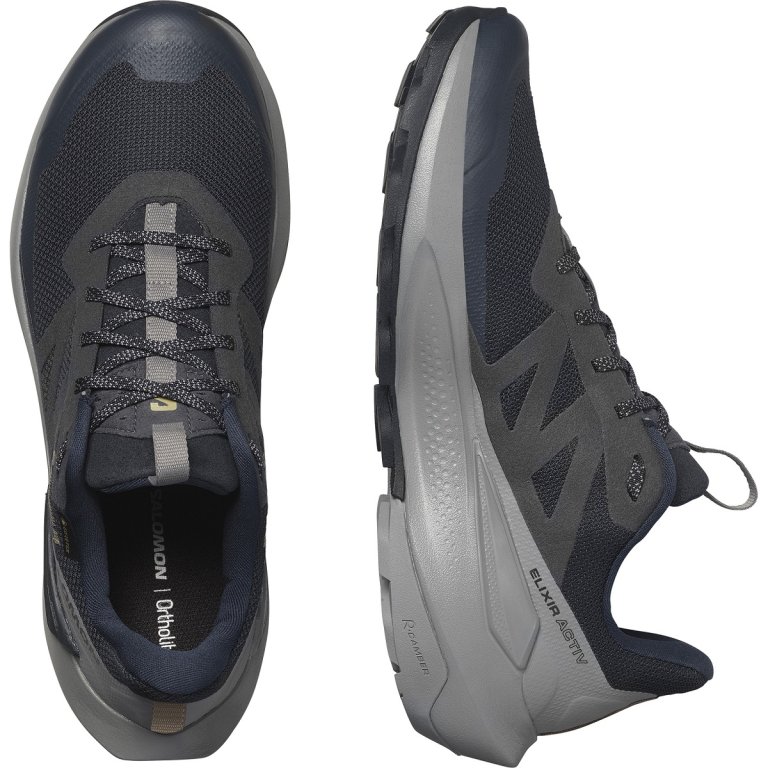Взуття Salomon Elixir Activ GTX M - синій / сірий