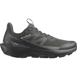Взуття Salomon Elixir Activ GTX M - чорний
