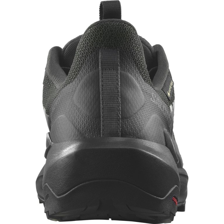 Взуття Salomon Elixir Activ GTX M - чорний
