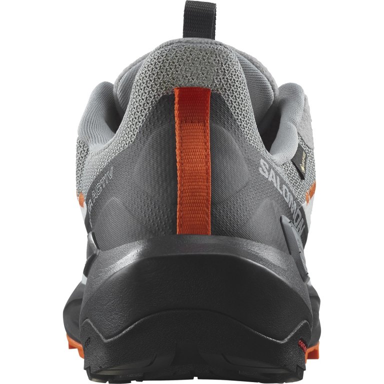 Взуття Salomon Elixir Activ GTX M - сірий/помаранчевий