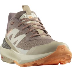 Взуття Salomon Elixir Activ GTX W - коричневий/помаранчевий