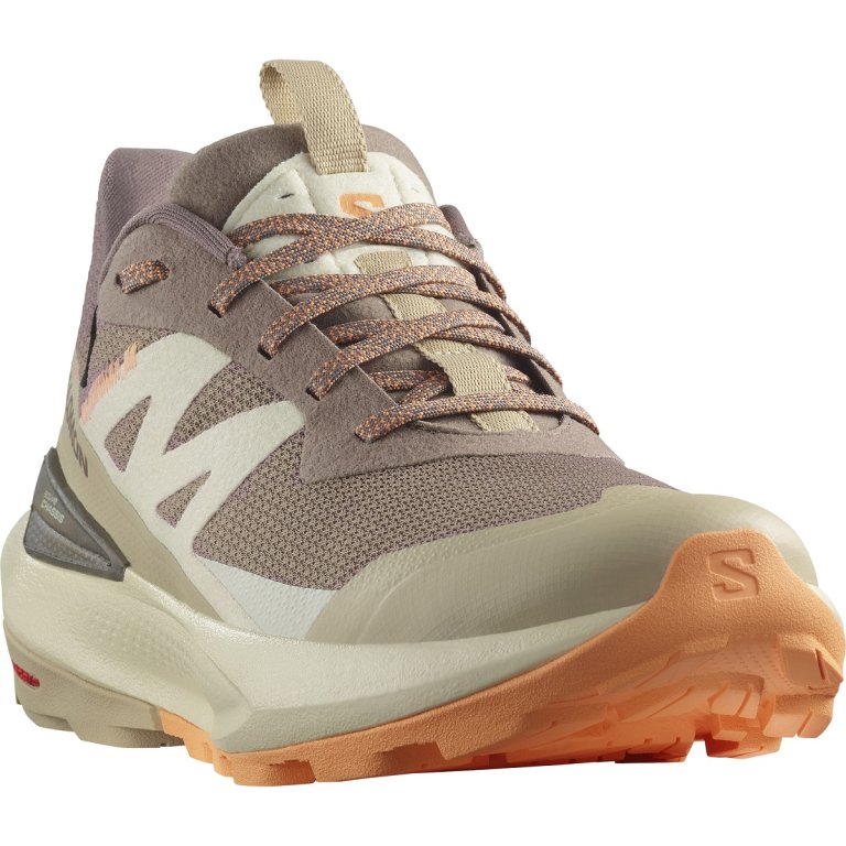 Взуття Salomon Elixir Activ GTX W - коричневий/помаранчевий