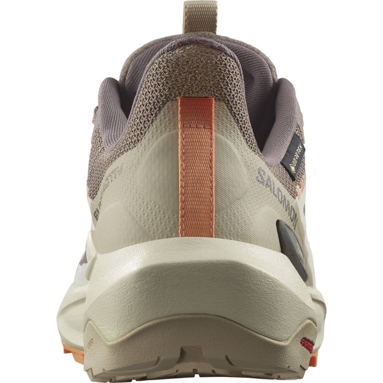 Взуття Salomon Elixir Activ GTX W - коричневий/помаранчевий