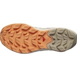 Взуття Salomon Elixir Activ GTX W - коричневий/помаранчевий