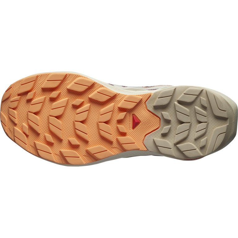 Взуття Salomon Elixir Activ GTX W - коричневий/помаранчевий