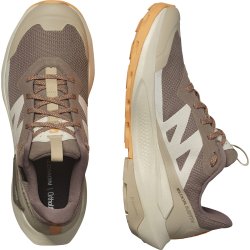 Взуття Salomon Elixir Activ GTX W - коричневий/помаранчевий