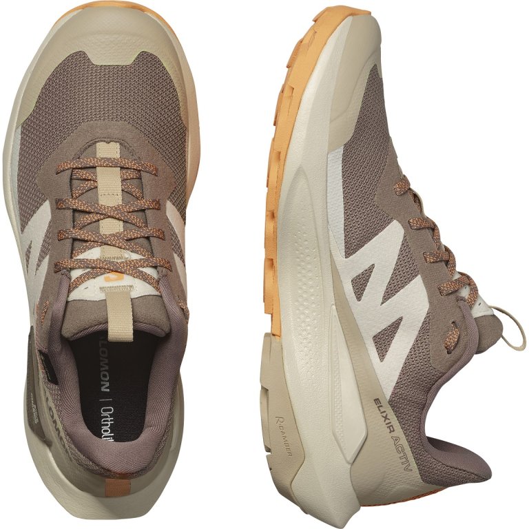 Взуття Salomon Elixir Activ GTX W - коричневий/помаранчевий