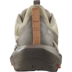 Взуття Salomon Elixir Activ W - коричневий/помаранчевий