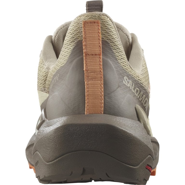 Взуття Salomon Elixir Activ W - коричневий/помаранчевий