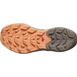 Взуття Salomon Elixir Activ W - коричневий/помаранчевий