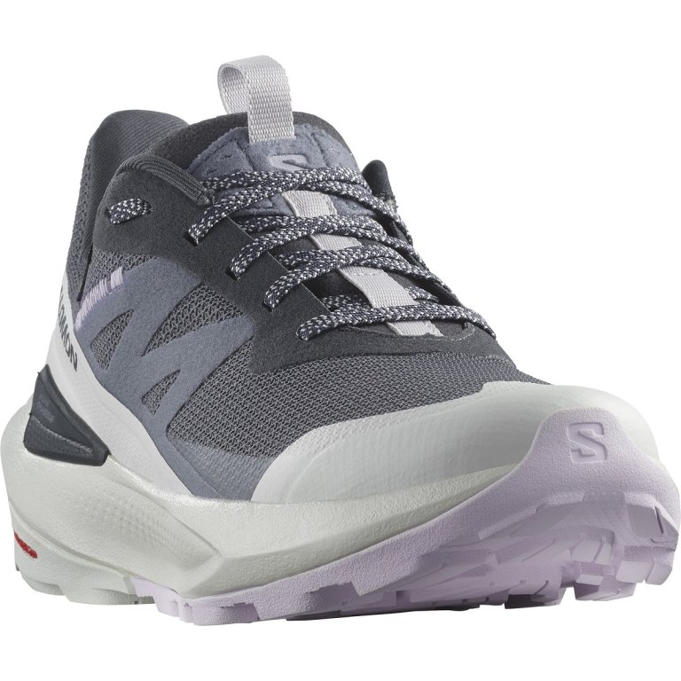 Взуття Salomon Elixir Activ GTX W - синій