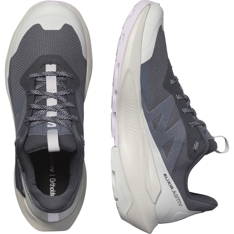 Взуття Salomon Elixir Activ GTX W - синій