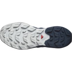 Взуття Salomon Elixir Activ M - сірий/синій