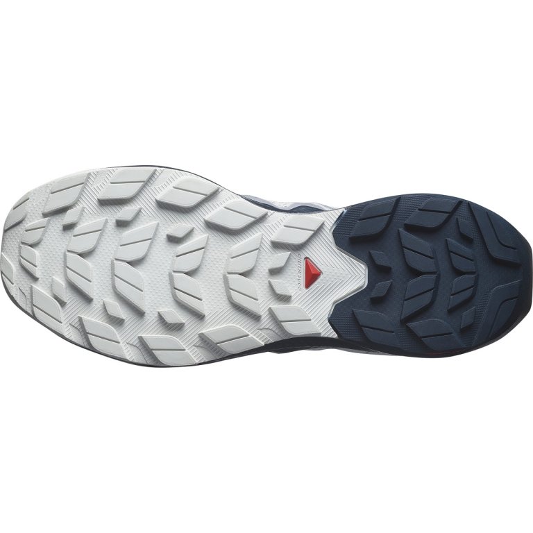 Взуття Salomon Elixir Activ M - сірий/синій