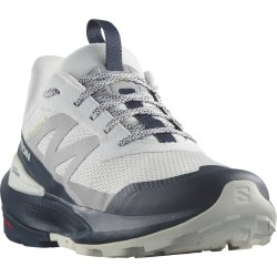 Взуття Salomon Elixir Activ M - сірий/синій