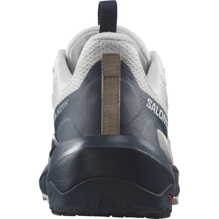 Взуття Salomon Elixir Activ M - сірий/синій